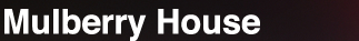 Mulberry House - The UK's leading health and social care training provider for audio-visual outcome based learning